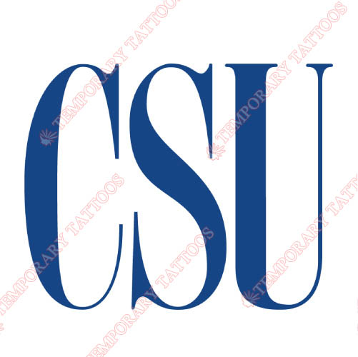 Coppin State Eagles Customize Temporary Tattoos Stickers NO.4191